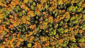 autumn, drone, drone photography, aerial photography